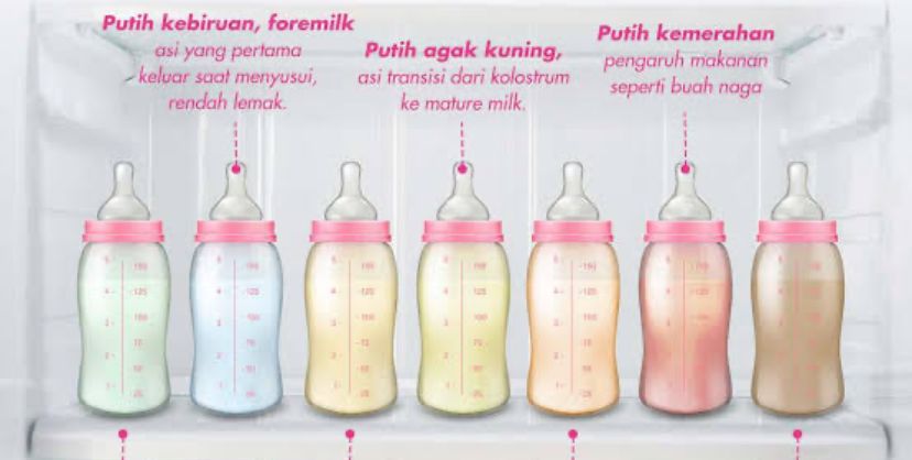 Ciri-Ciri Warna ASI Yang Bagus Untuk Bantu Perkembangan Bayi