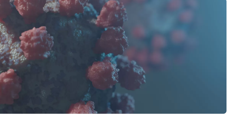 6 Negara Asia Tingkatkan Kewaspadaan Setelah Kasus Virus Nipah Muncul di India