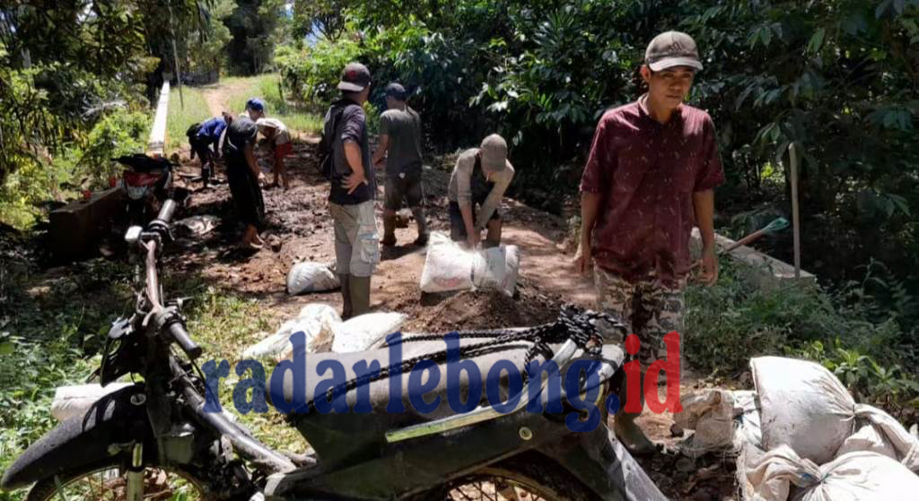 Akses Terputus, Hasil Panen Terancam! Warga Lebong Desak Perbaikan Jalan Kabupaten yang Rusak Segera