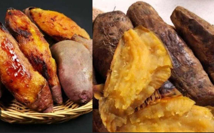 Ini Cara Menanam Ubi Cilembu yang Rasanya Manis dan Enak