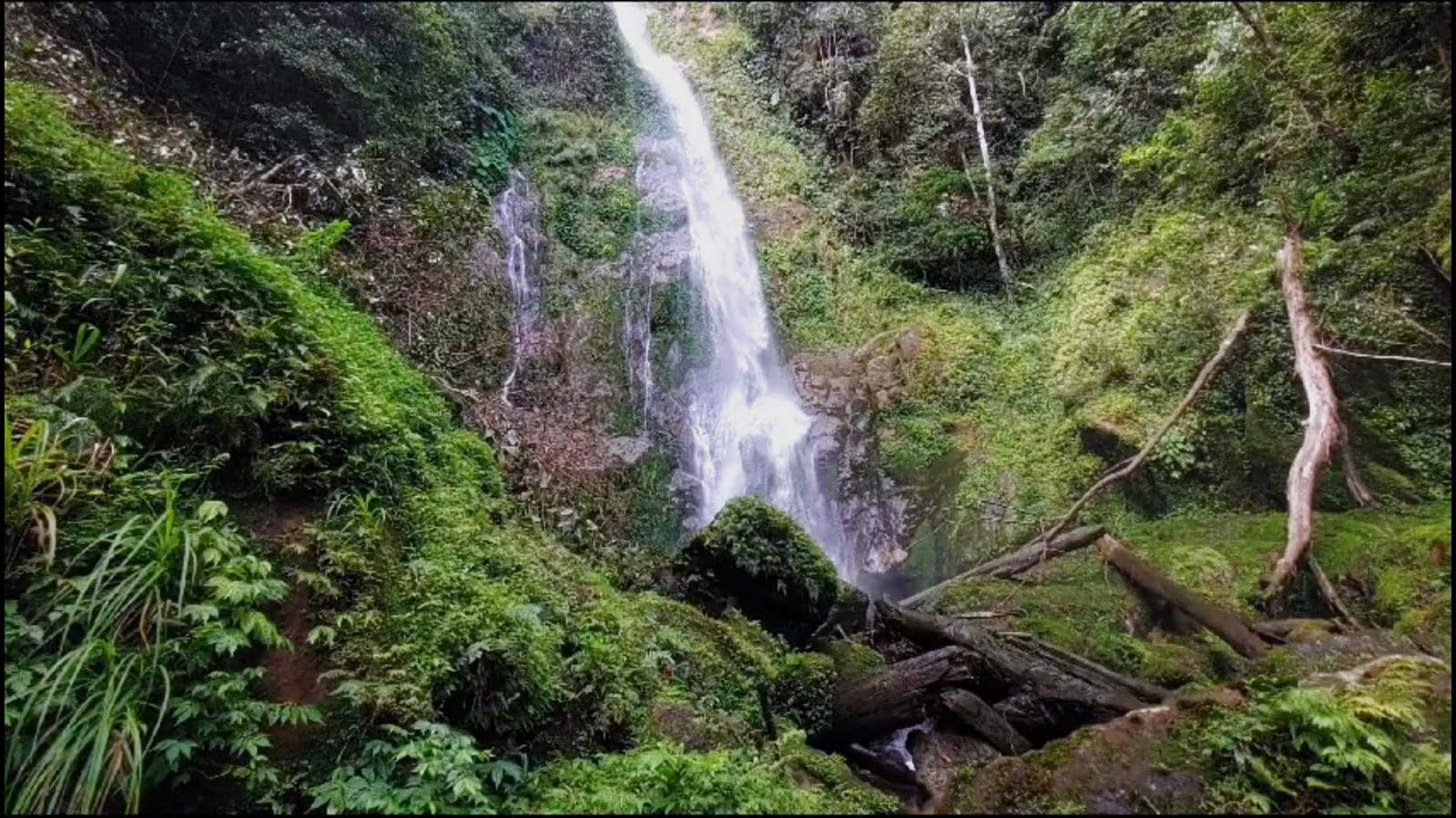 Air Terjun 7 Tingkat Ketenong Lebong, Surga Tersembunyi di Balik Belantara Hutan Taman Nasional Kerinci Seblat