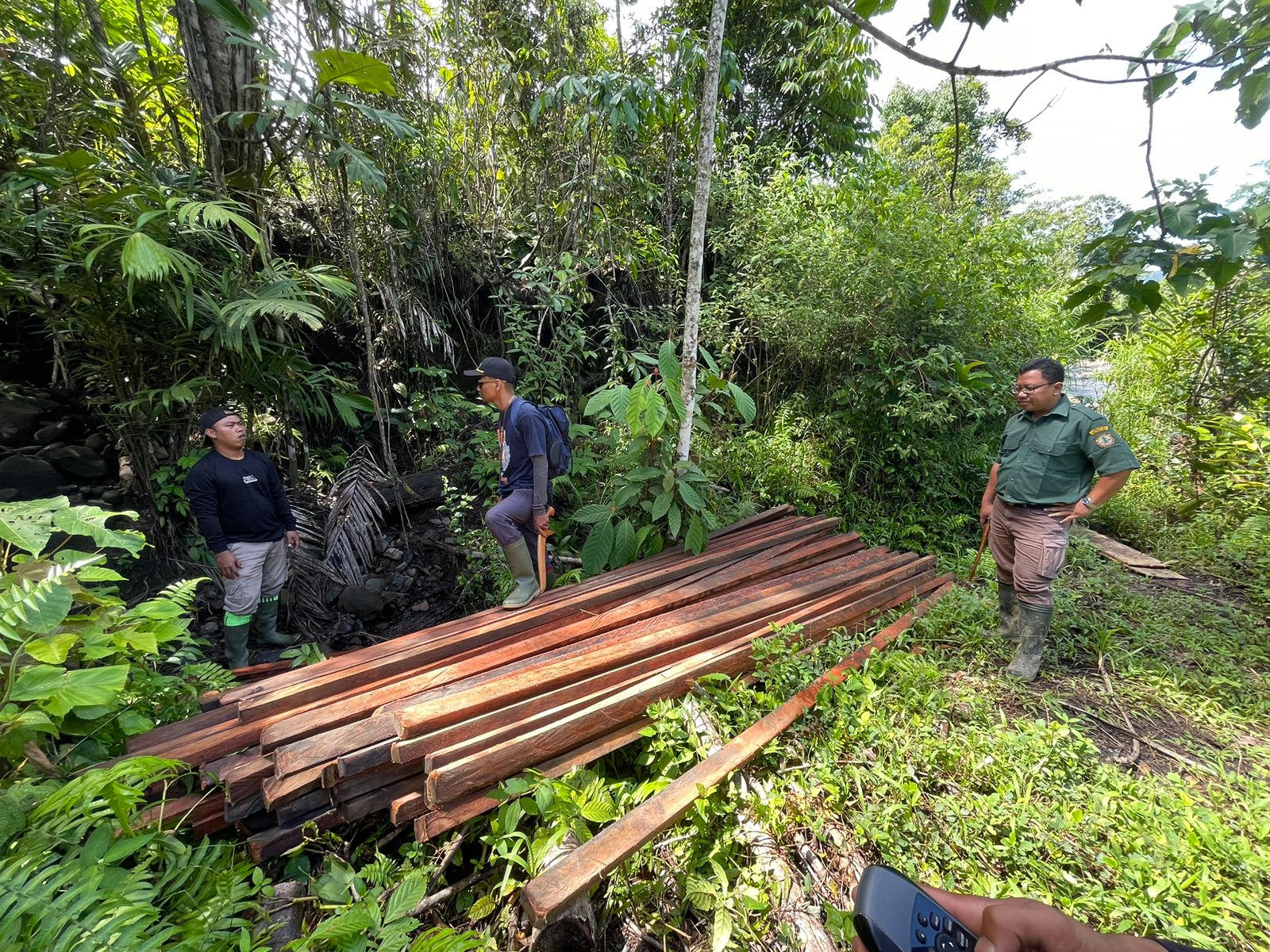 Waspada! Penemuan Kayu Tak Bertuan di Lebong Indikasi Maraknya Pembalakan Liar di TNKS