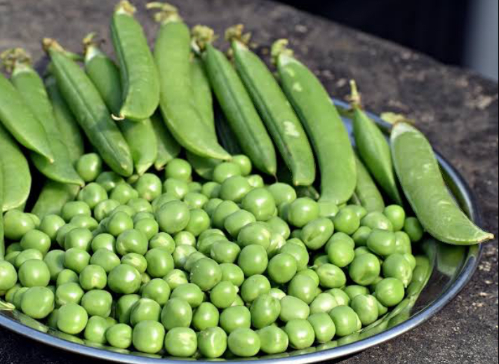 Manfaat Kacang Polong, Bantu Lindungi Tubuh dari Penyakit Kronis Ini