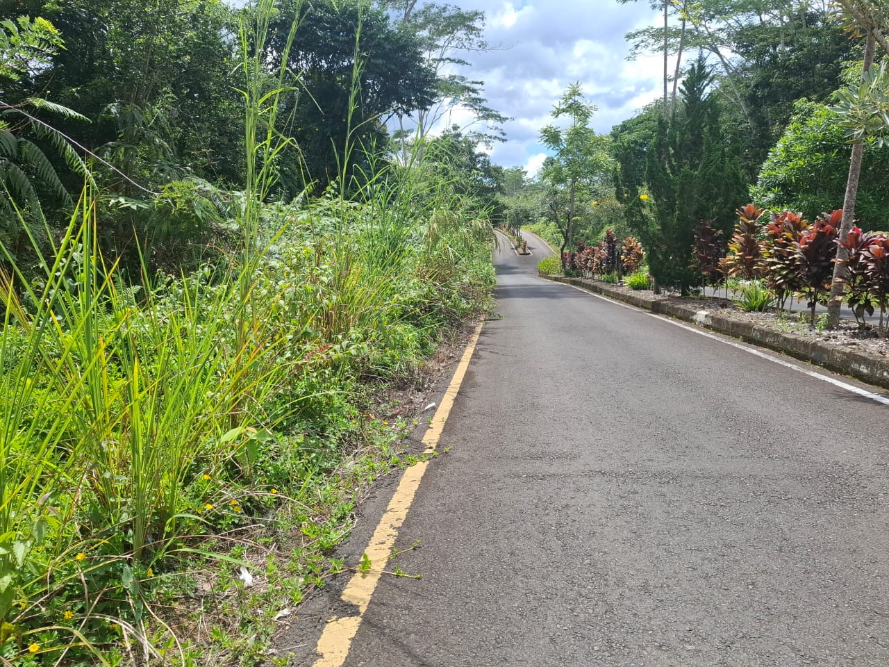 Tebas Bayang Tahap II Dilaksanakan Jelang Tutup Tahun