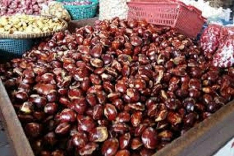 Jengkol Disebut Punya 3 Manfaat untuk Penderita Diabetes