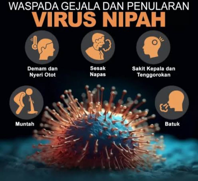 Ketahui Cara Pengecahan Penularan dan Gejala Dari Virus Nipah