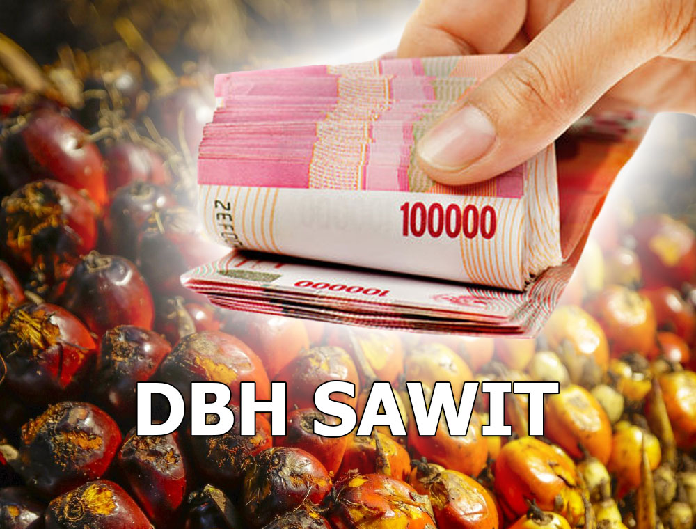 DBH Sawit Lebong: Janji Infrastruktur Jalan, Kapan Jadi Kenyataan?