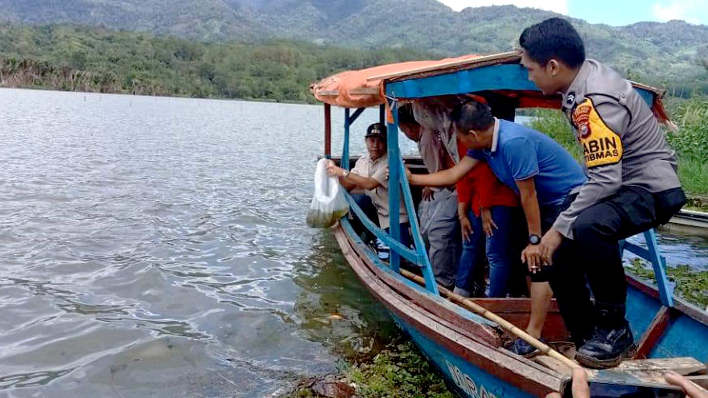 Bupati Lebong dan Wabup Restocking 100 Ribu Ikan di Danau Picung dan Danau Tes