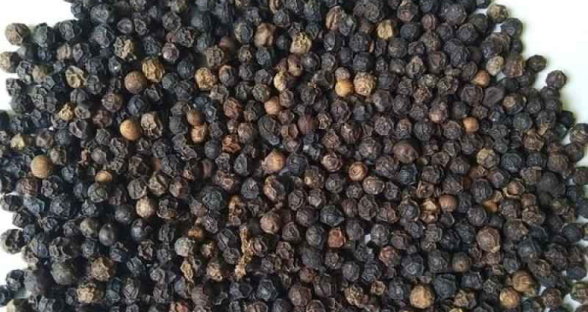 4 Manfaat Lada Hitam yang Bikin Kaget