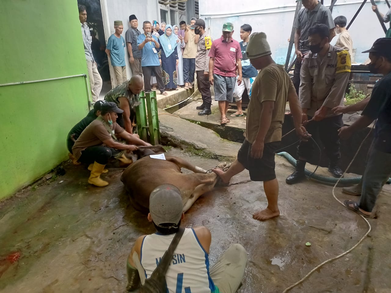 OPD Diminta Gerakkan ASN untuk Berqurban 