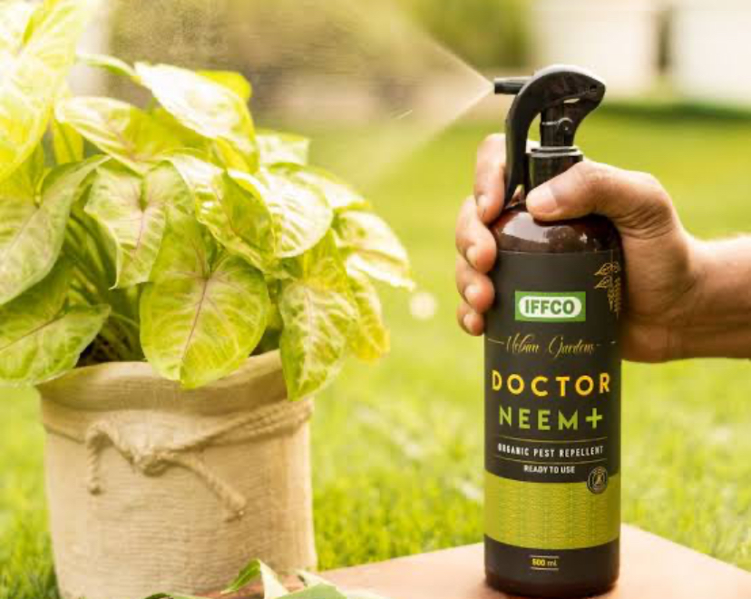 Manfaat Neem Oil Untuk Kulit, Rambut Hingga Kulit Kepala