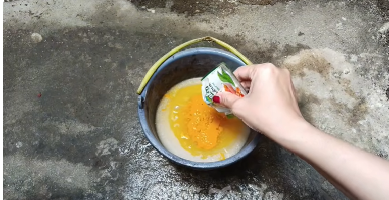 Cara Membuat Pupuk Organik Cair Plus Pestisida Alami dari Bahan Dapur