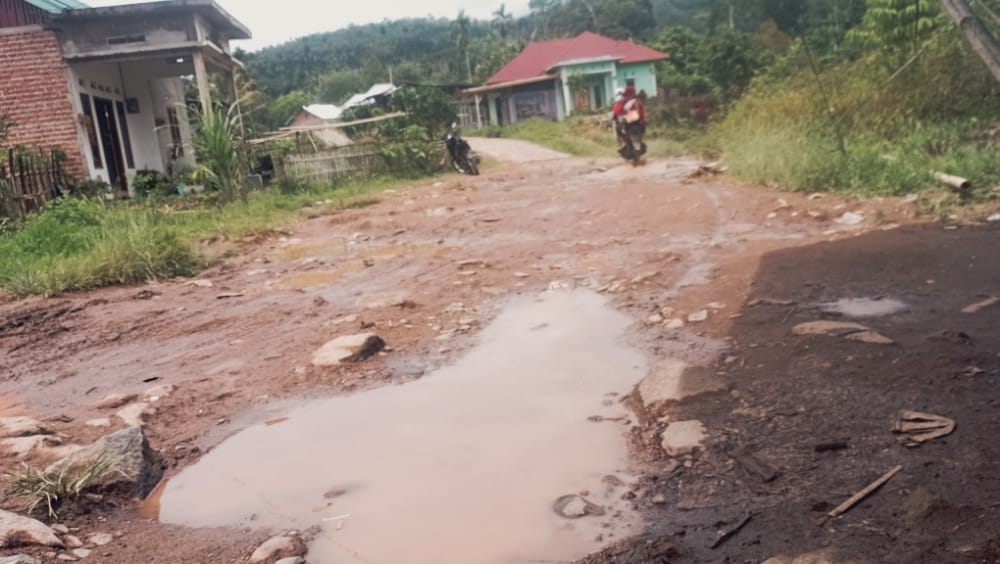 Jalan Dusun III Danau Liang Belum Tersentuh Aspal