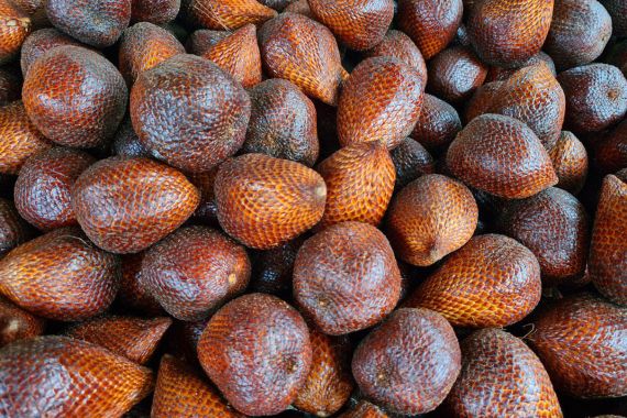 Ini 7 Manfaat Buah Salak untuk Kesehatan yang Jarang Diketahui