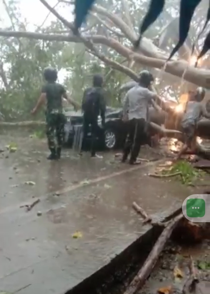  Hujan Badai di Bengkulu, 2 Mobil Dikabarkan Tertimpa Pohon 