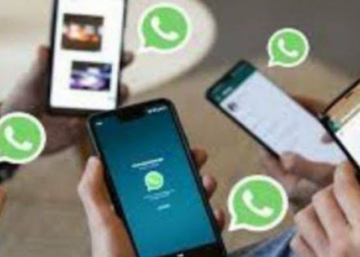 WhatsApp Menguji Fitur Baru dalam Pengelolaan Kontak