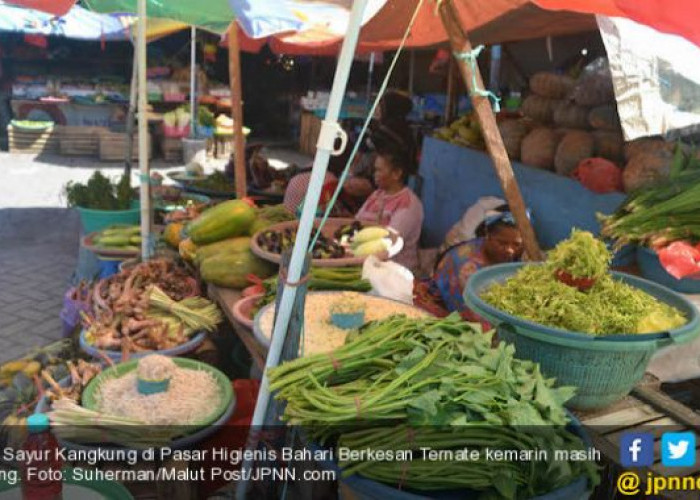 Suka Makan Kangkung? Waspadai 3 Efek Samping Ini Jika Dikonsumsi Berlebihan