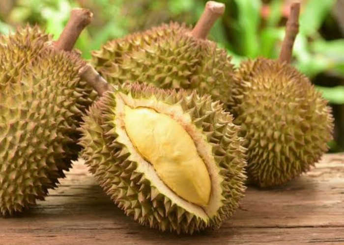 Jangan Berlebihan Makan Durian, Ini Bahayanya Bagi Kesehatan