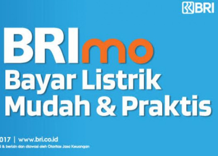 Cara Bayar Tagihan Listrik Di Brimo Cepat Dan Efisien