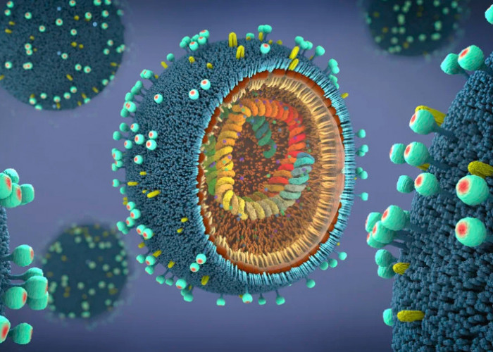 Influenza A Lagi Marak, Ini Gejala dan Cara Mengobatinya
