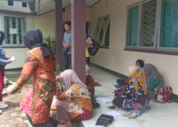 Malang Nasib THLT di Lebong, Sudah 'Dipungut' Ratusan Ribu, Pendataan Malah Tak Sesuai SE Menpan