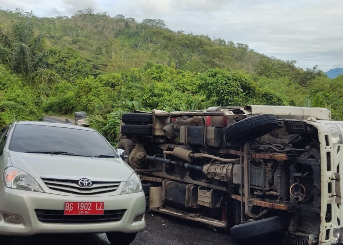 Truk Bermuatan Buah Pinang Terbalik di Jalan Lintas Lebong, Sopir Asal Jawa Tengah Selamat 