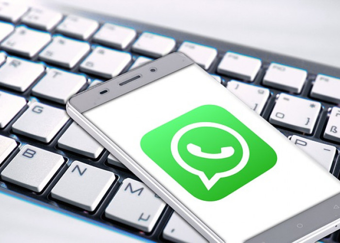 Panduan Lengkap GB WhatsApp Terbaru 2024: Fitur Anti-Blokir dan Status Jernih 3 MB