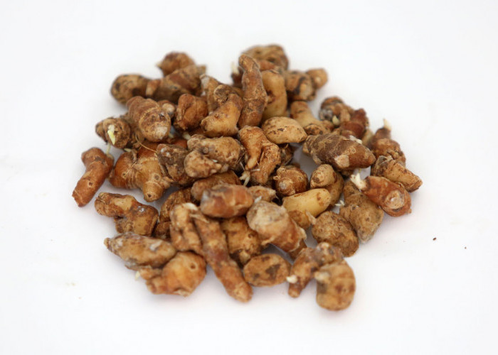 Manfaat Kencur Campur Jahe, Ampuh Atasi Masuk Angin