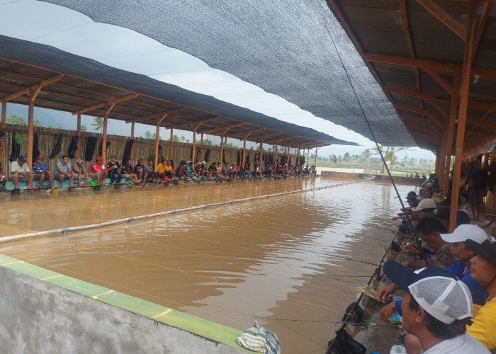 Mancing Mania Banjir Hadiah, Diikuti Peserta Luar Daerah Lebong