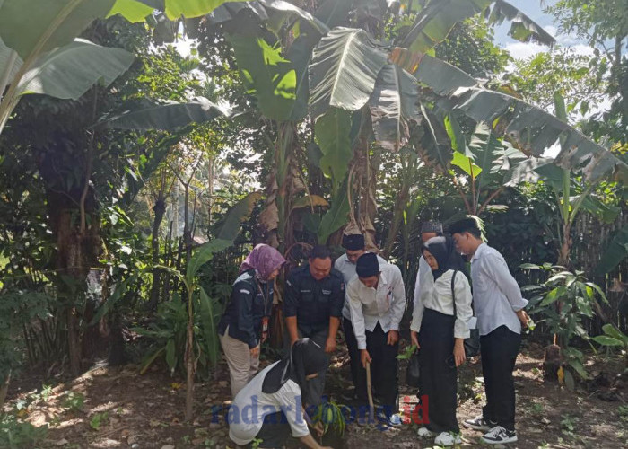 KPPS Tanam Pohon di Lebong, Dukung Pemilu Ramah Lingkungan