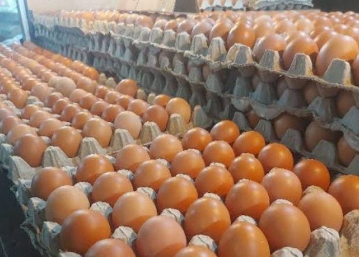 Sering Jadi Menu Sahur, Kenapa Telur Bisa Bikin Kenyang Lebih Lama?
