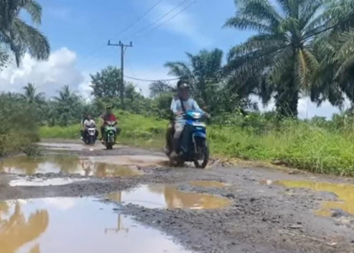 Puluhan Tahun Terabaikan, Jalan Desa Talang Tua Bengkulu Utara Rusak Parah