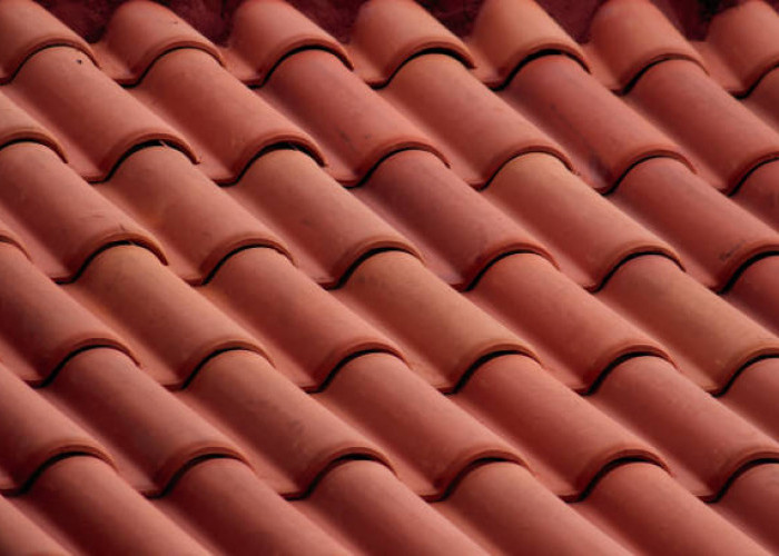 Program Gentengisasi Dikritisi: Dorongan Penguatan UMKM Lokal dan Penggunaan Produk Dalam Negeri