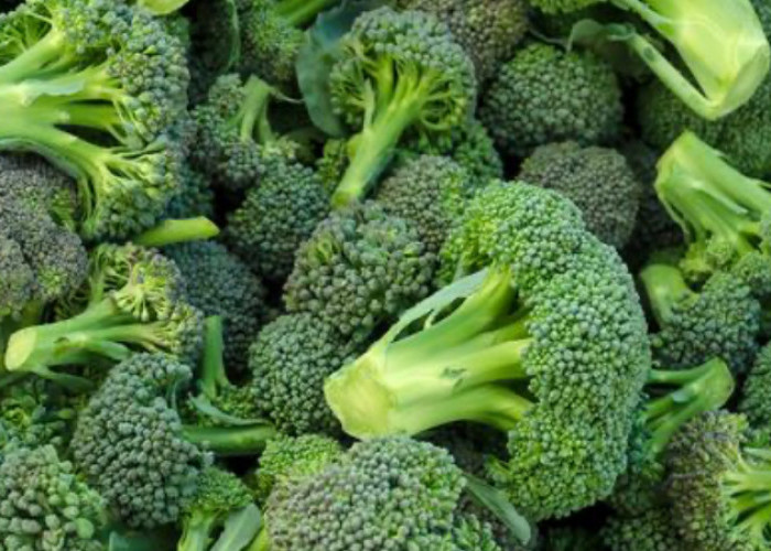 Daftar Makanan Pengganti Nasi yang Aman Anda Konsumsi