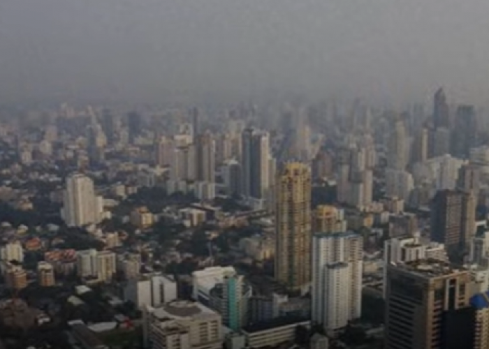 Pemerintah Buka Peluang Ambil Alih Operasional 28 Perusahan yang Dicabut Izinnya