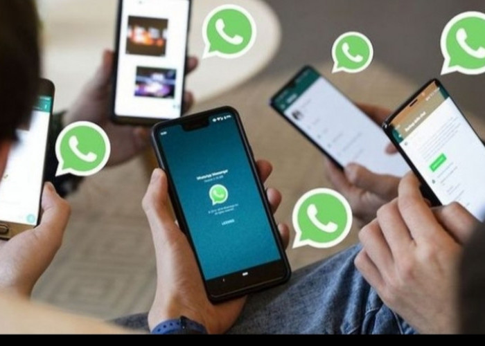 WhatsApp Luncurkan Fitur Baru: Apa Fungsinya?