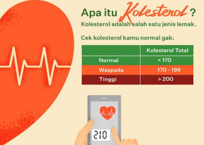  Kolesterol Naik Setelah Lebaran, Turunkan Mengonsumsi 5 Buah Ini