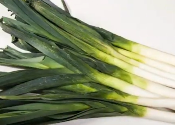 MODAL SEKALI UNTUNG TERUS! 5 Tanaman Sayur yang Bisa Dipanen Berkali-kali di Rumah