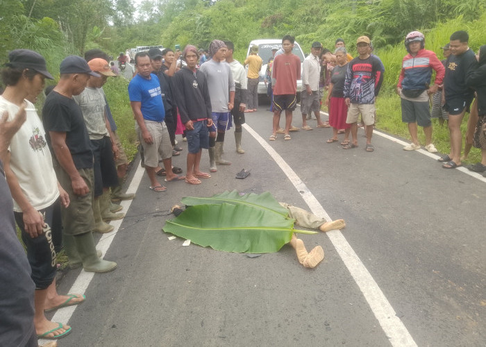 Tragis! Kecelakaan Maut di Desa Air Kopras Lebong, Pemotor Tewas di Tempat