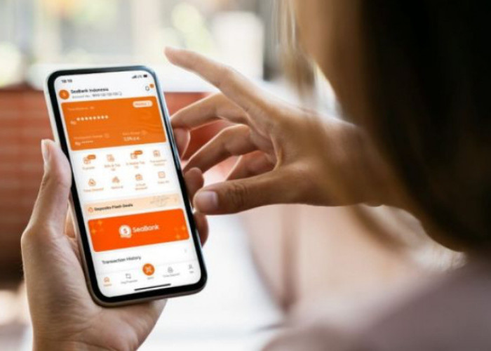 Penyebab Fitur Seabank Pinjam Tidak Muncul di Aplikasi