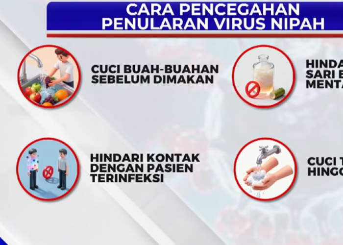 Waspada Virus Nipah: Bahaya Penularan dari Babi dan Kelelawar