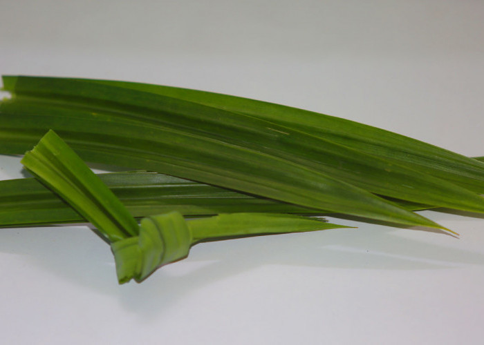 Tak Hanya Pewangi, Ini 4 Manfaat Daun Pandan untuk Kesehatan  