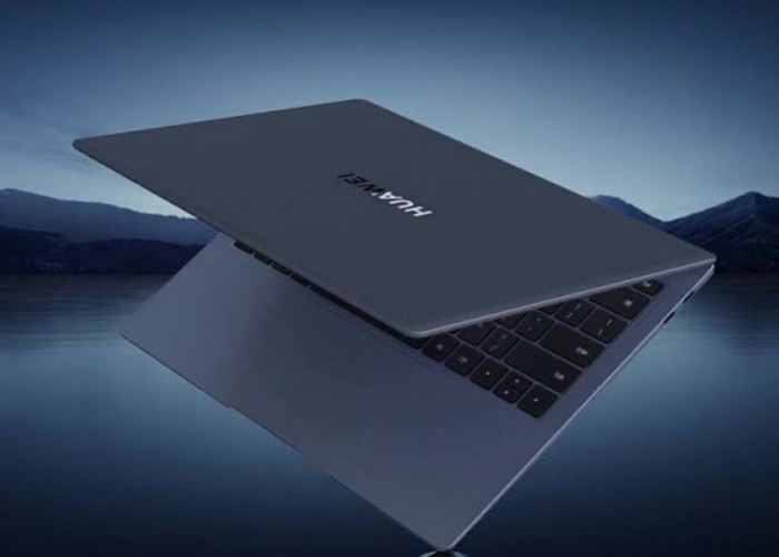 Huawei MateBook X Pro 2024: Super Light Flexible OLED Display Laptop