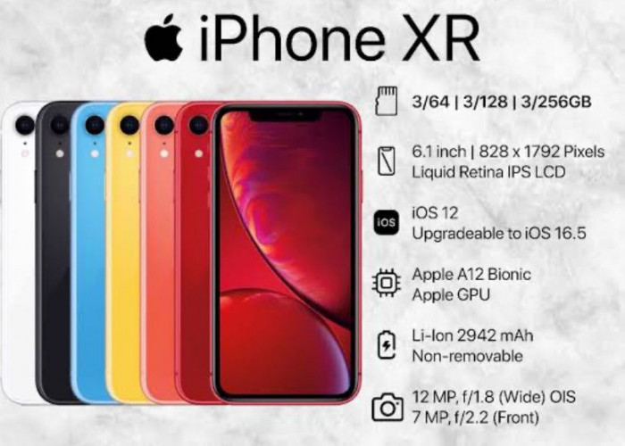  HP iPhone XR Apakah Masih Worth It di Tahun 2025?