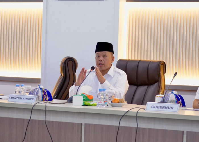 Demi Ketahanan Pangan, Alih Fungsi Lahan Sawah Dibatasi Maksimal Hanya 11 Persen 