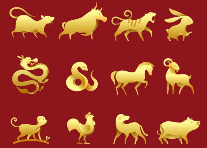 Ramalan Shio 2026: 6 Shio Paling Beruntung dan Kaya Mulai 14 Februari