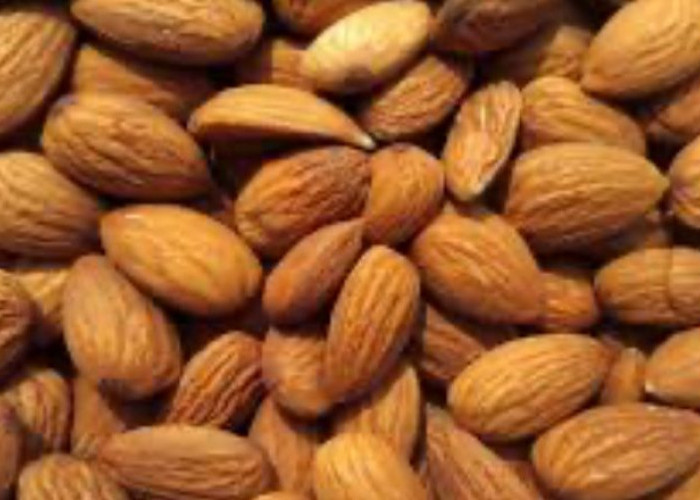 Calon Pengantin Baru Rutin Konsumsi Kacang Almond Rasakan Khasiatnya