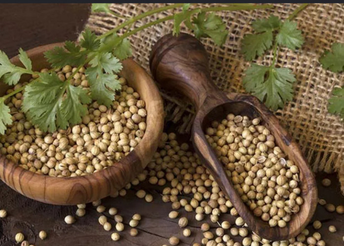 3 Herbal untuk Redakan Migrain dengan Cepat