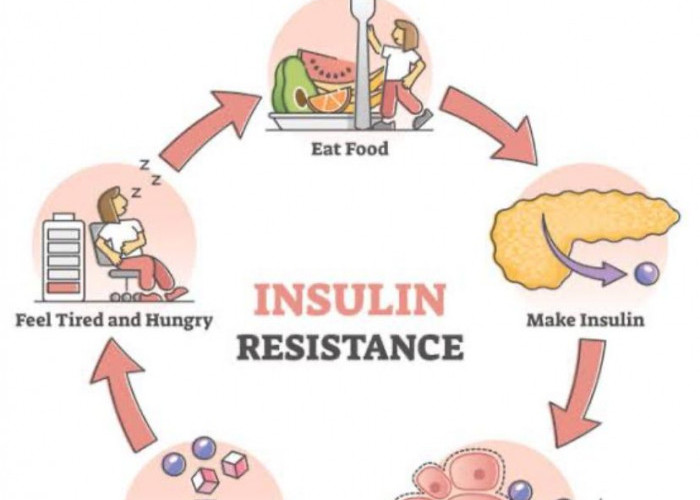 Hati-Hati Sederetan Risiko Penyakit Akibat Resistensi Insulin