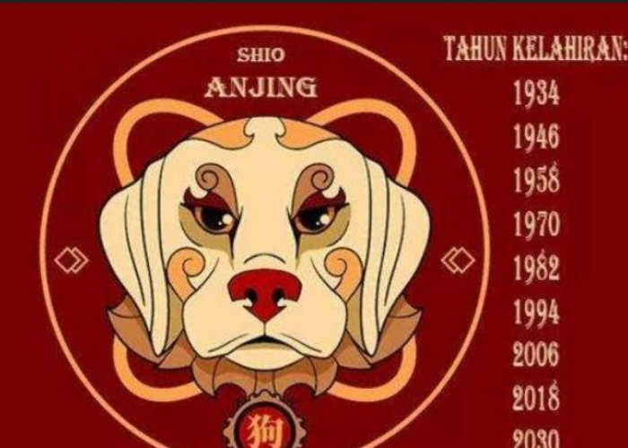 Prediksi Keuangan dan Asmara Shio Anjing di Tahun 2025